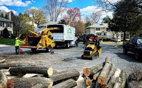 Best Lawn Renovation and Restoration  in Bargaintown, NJ
