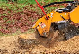 Best Lawn Mowing  in Bargaintown, NJ