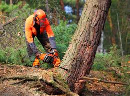Mulching Services in Bargaintown, NJ